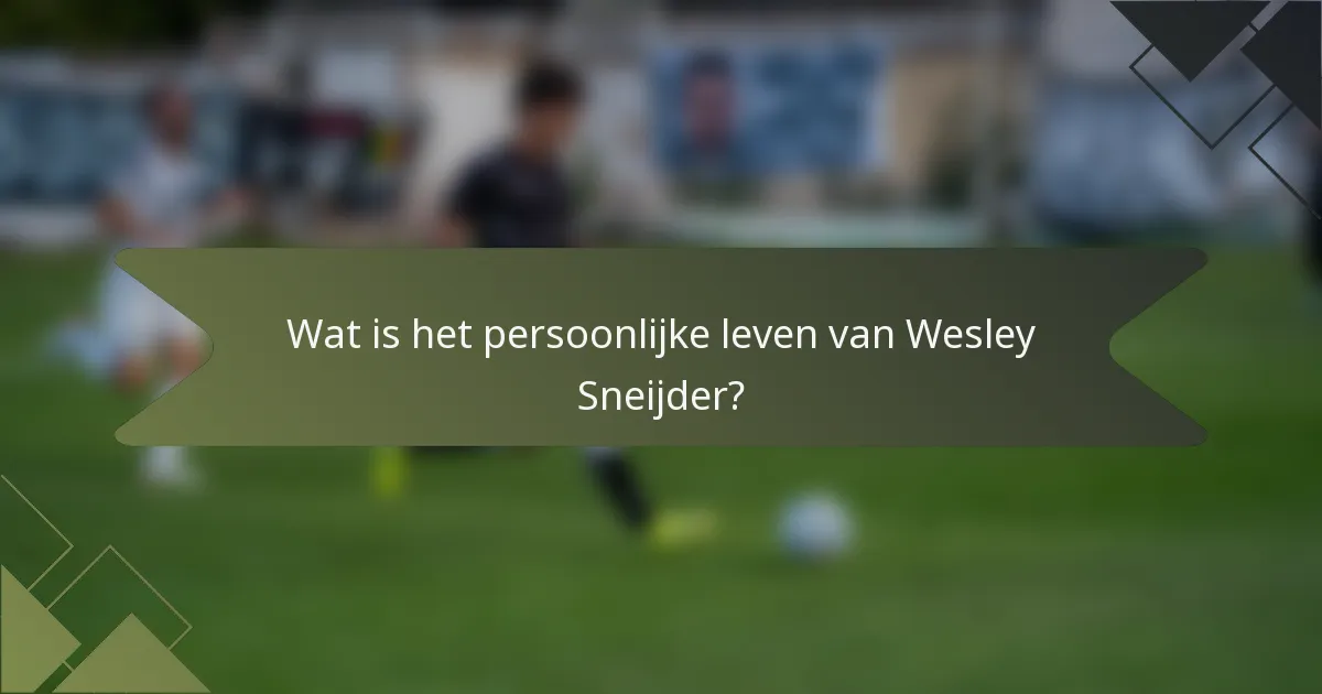 Wat is het persoonlijke leven van Wesley Sneijder?