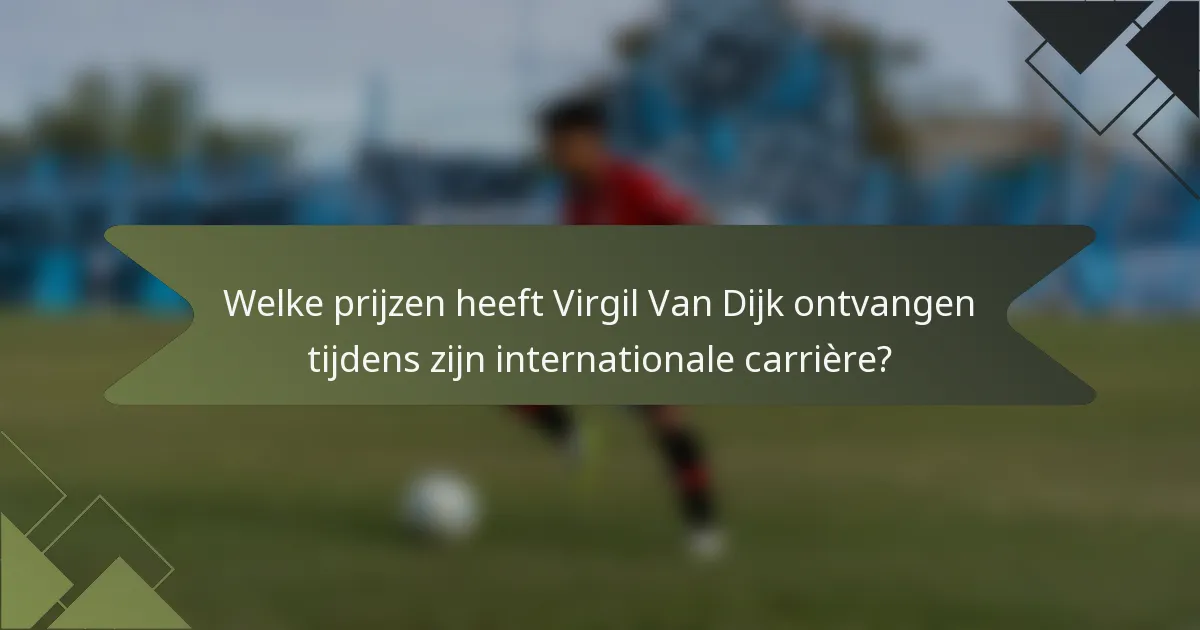 Welke prijzen heeft Virgil Van Dijk ontvangen tijdens zijn internationale carrière?